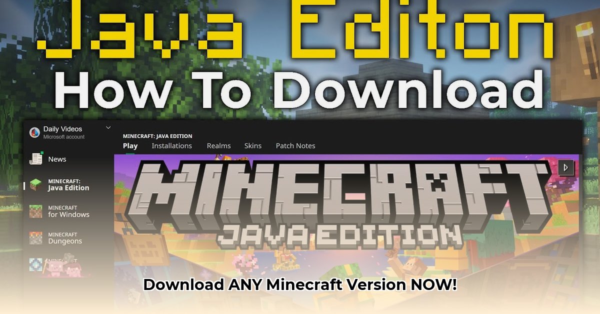 minecraft-download-version